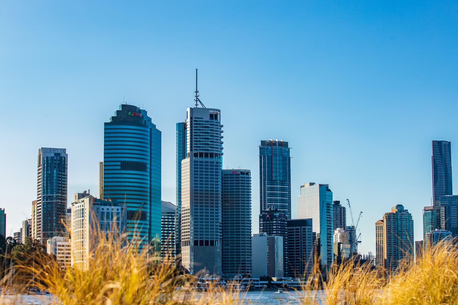 Corporate office towers rising against the sky