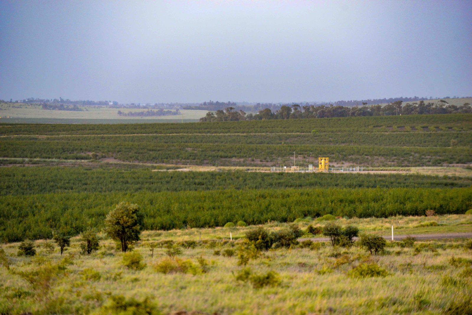 A wellhead on cultivated farmland near Taroom, Queensland