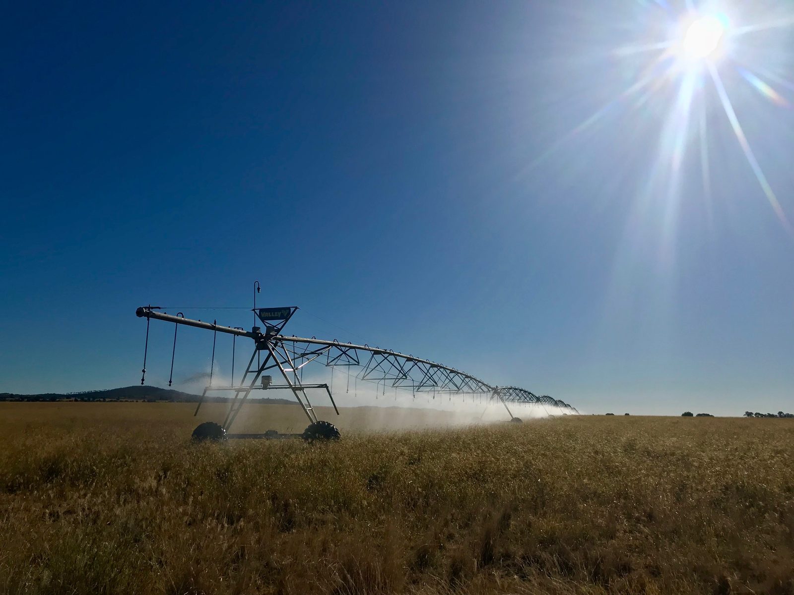 Centre pivot irrigator watering a crop on a Queensland property