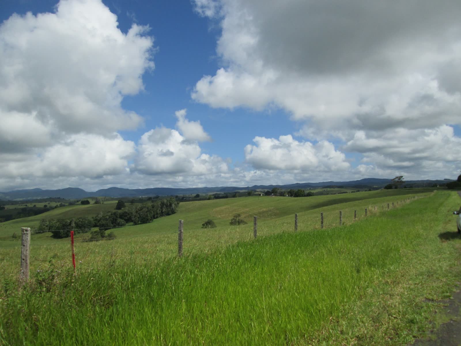 Fenced grazing country under a broad sky